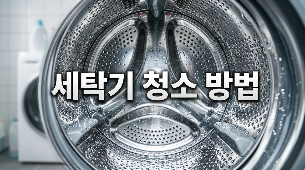 드럼·통돌이 세탁기 청소 방법: 1,000원으로 곰팡이와 냄새 완벽 제거