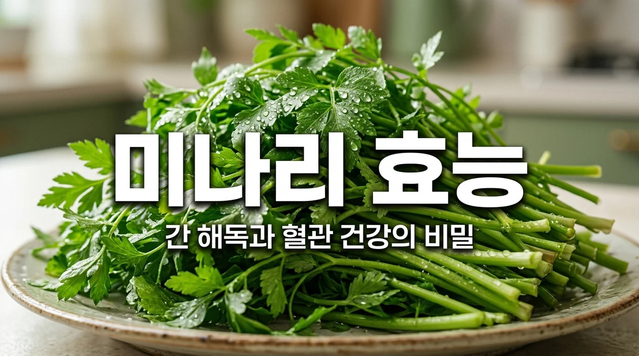 미나리 효능 7가지와 손질법: 간 해독 돕는 천연 보약 먹는법