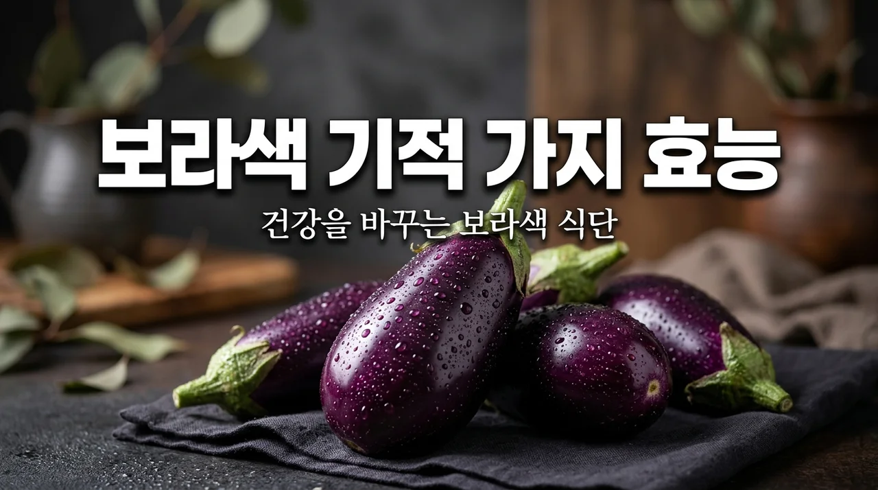 가지 효능 7가지와 부작용 완벽 정리, 보라색 채소의 놀라운 비밀