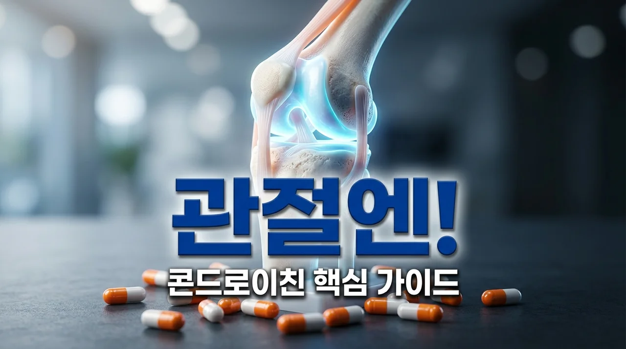 콘드로이친 효능, 복용법, 고르는 법: 관절 건강 핵심 가이드