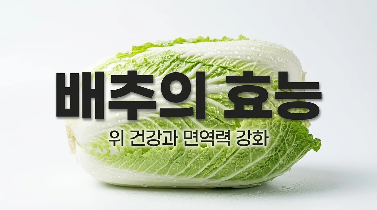 배추 효능 7가지와 위 건강 효과! 칼로리 및 부작용 완벽 정리