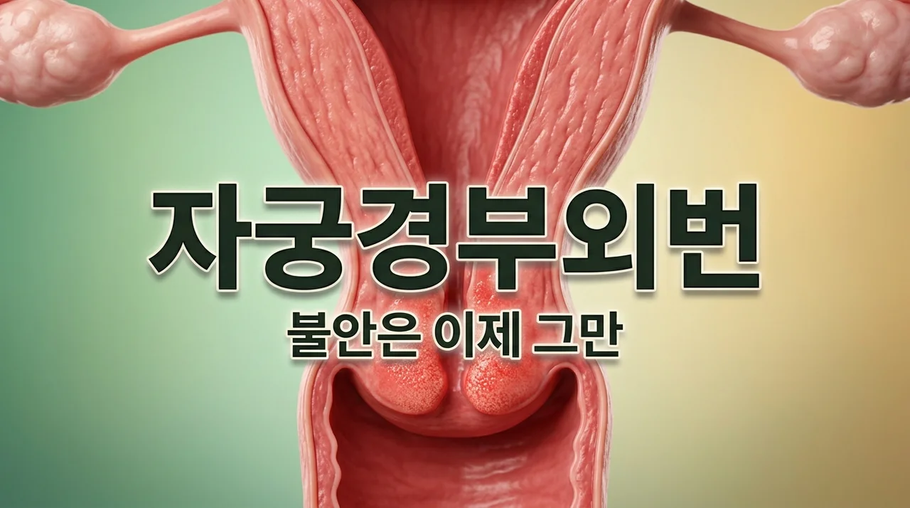 자궁경부헐음, 걱정 마세요! 원인부터 증상, 최신 치료법까지 완벽 정리