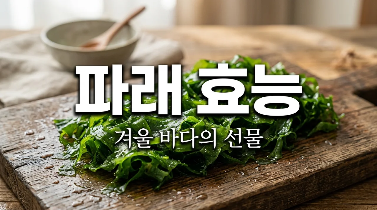 파래 효능 7가지: 몰랐던 건강 비법과 맛있게 즐기는 꿀팁까지!