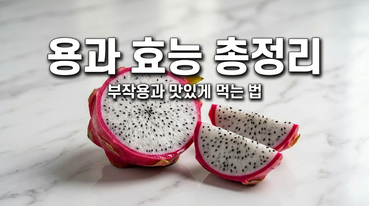 용과 효능 7가지와 먹는 법 부작용 보관법 완벽 정리
