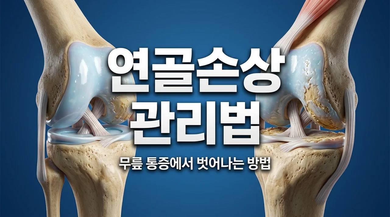 연골손상 증상과 회복 방법 총정리, 무릎 통증 그냥 넘기지 마세요