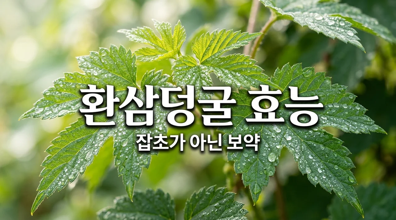 환삼덩굴 효능 7가지와 먹는법 부작용 율초의 놀라운 효과 정리