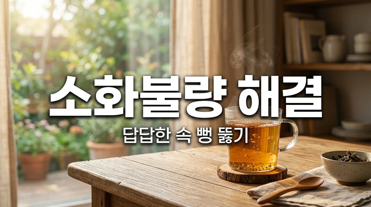 소화불량 해결하는 방법 5가지 | 속이 답답하고 더부룩할 때 대처법
