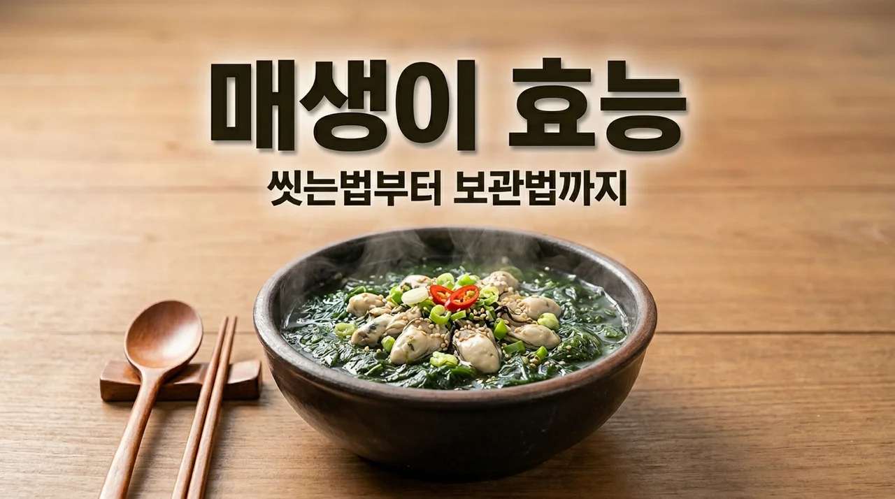 매생이 효능 7가지와 씻는법 보관법 총정리 | 겨울 보약의 비밀