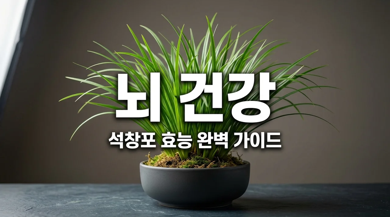 석창포 효능: 뇌 건강부터 소화까지, 놀라운 효과와 활용법 총정리