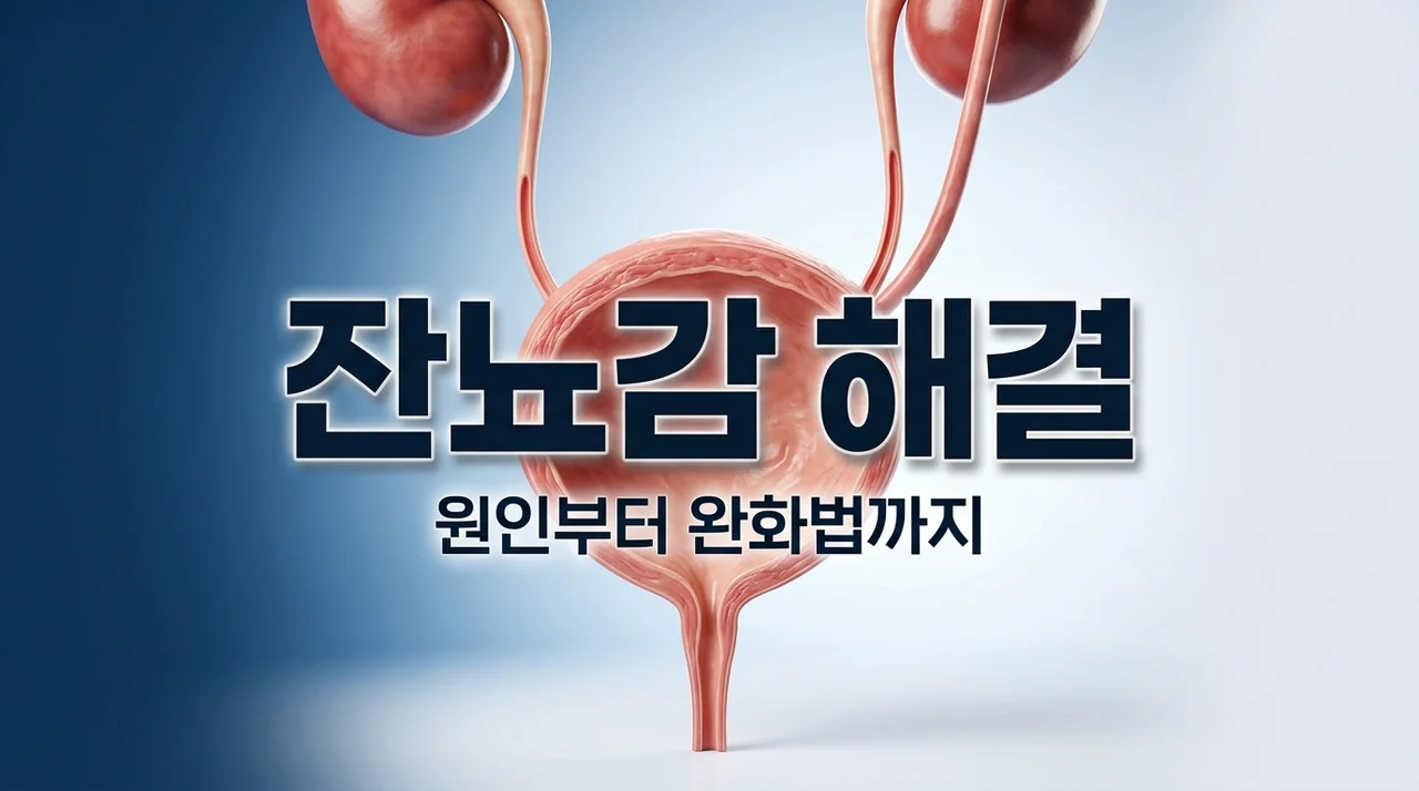 잔뇨감 해결 가이드: 원인부터 증상 완화법까지 완벽 정리