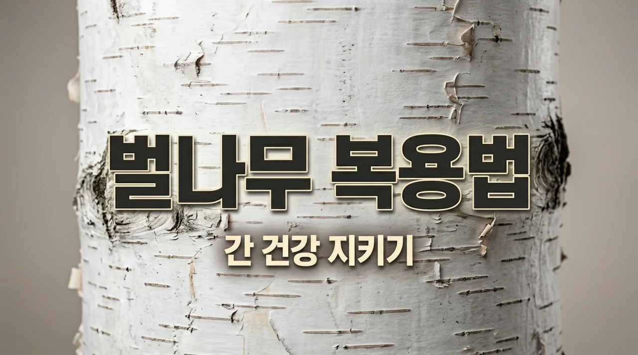 벌나무 복용법, 제대로 알고 드세요! 효능부터 부작용까지 핵심 가이드